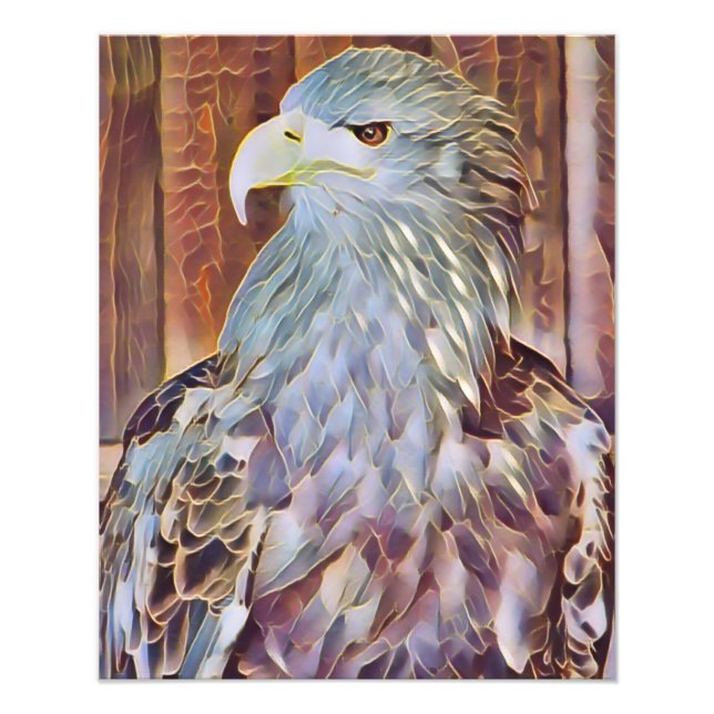 IMPRESSION PHOTO EAGLE DE MER (Devant)