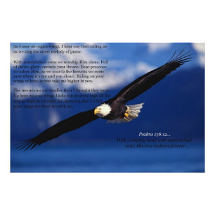 Impression Photo Eagle montant haut