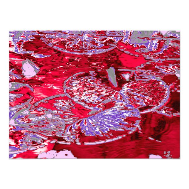 IMPRESSION PHOTO EAU LILY POND (Devant)