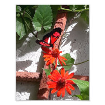 Édition Limitée Lady in Red