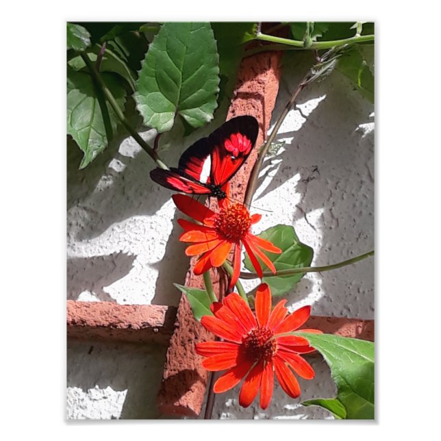 Impression Photo Édition Limitée Lady in Red (Devant)