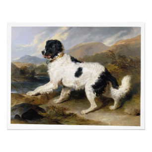 Impression Photo Edwin Henry Landseer Lion A Newfoundland Dog
