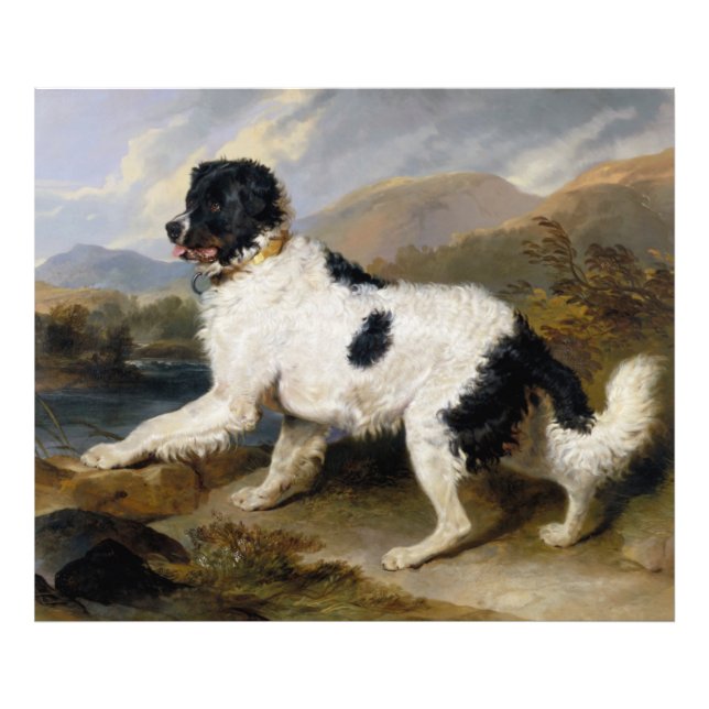 Impression Photo Edwin Landseer | Lion- A Newfoundland (Devant)