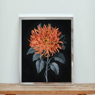 Impression Photo Élégance flamboyante : Chrysanthème orange