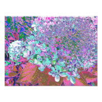 Elegant Aqua et Purple Limelight Hydrangea Détail