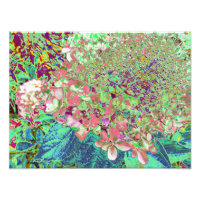 Élégant Corail et Chartreuse Limelight Hydrangea