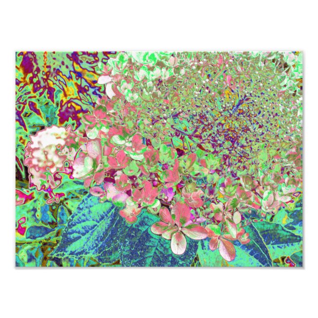 Impression Photo Élégant Corail et Chartreuse Limelight Hydrangea (Devant)