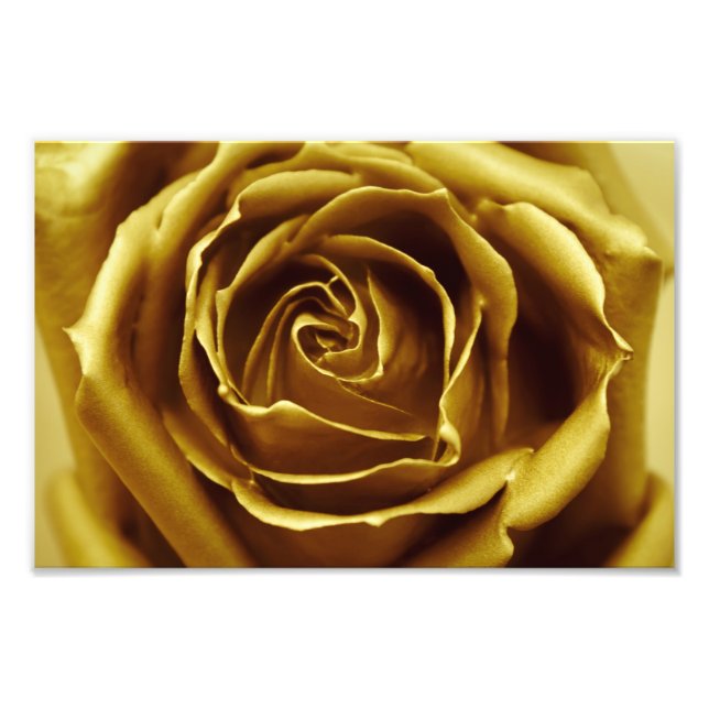 Impression Photo Élégant Rose d'or (Devant)