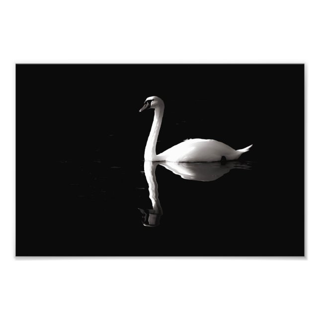 Impression Photo Élégante Réflexion Du Cygne Blanc Sur Black Lake (Devant)