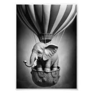 Impression Photo Elephant bébé dans un ballon à air chaud