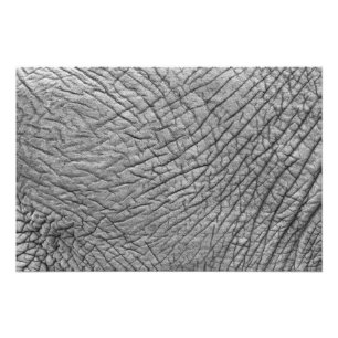 Impression Photo Elephant skin