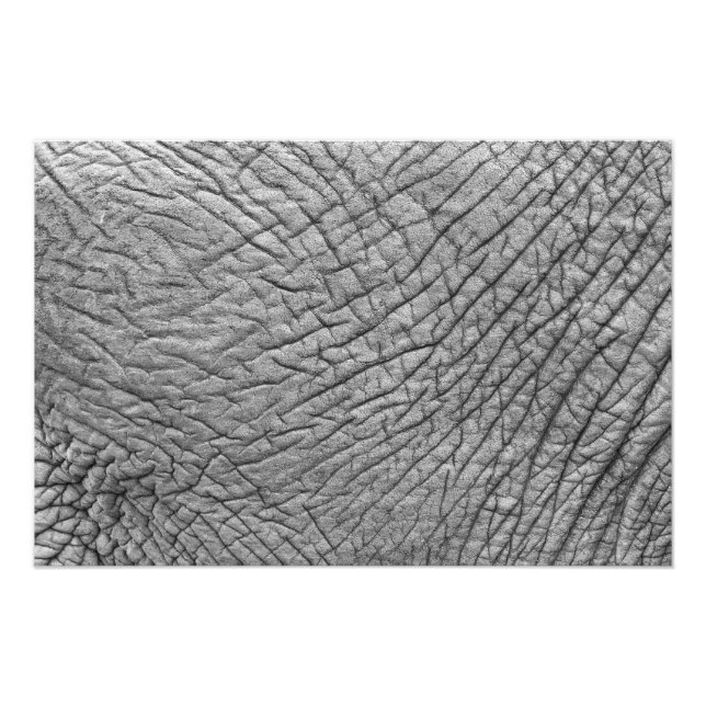 Impression Photo Elephant skin (Devant)