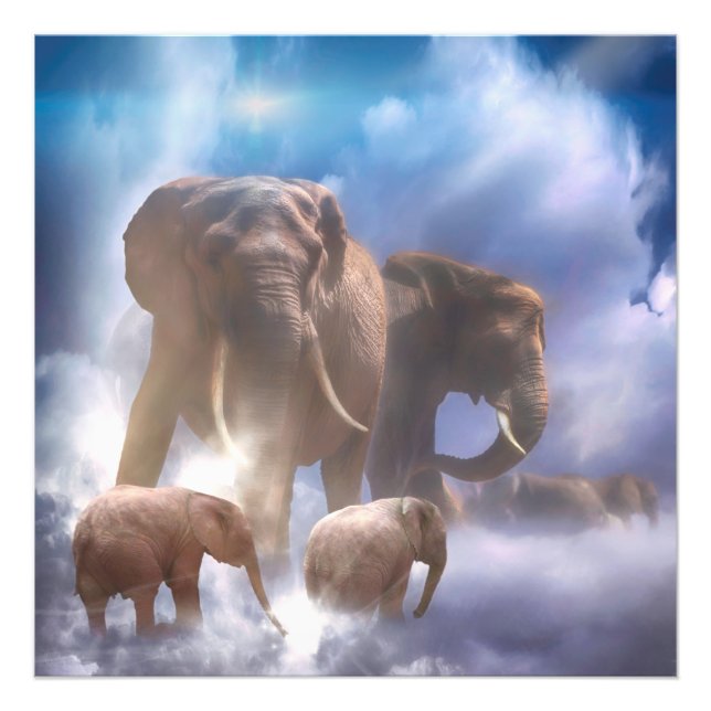 Impression Photo Eléphants au ciel (Devant)