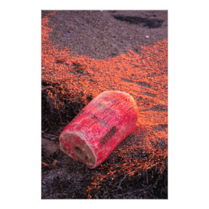 Impression Photo Éloigné de la maison