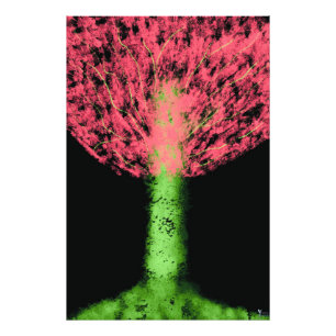 Impression Photo Enchantree