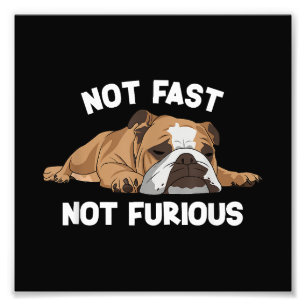 Impression Photo English Bulldog Sleeping Not Fast Not Furious Funn