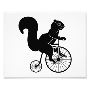 Impression Photo Equirrel Rider sur Old Bike