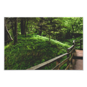 Impression Photo Escaliers dans la campagne verdoyante