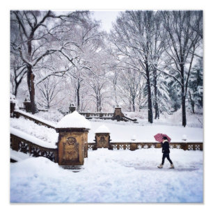 Impression Photo Escaliers Neige-Couverts dans le Central Park