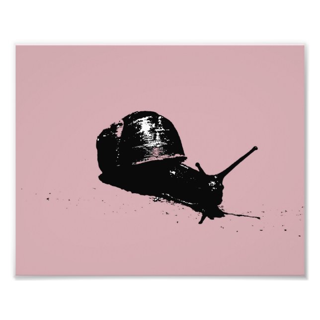 Impression Photo Escargot rose (Devant)