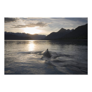 Impression Photo États-Unis, Alaska, Glacier Bay National Park,