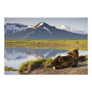 Impression Photo États-Unis, Alaska, Parc national de Katmai, Ours 