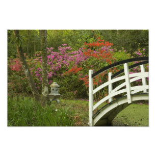 Impression Photo États-Unis; Caroline du Sud; Charleston; 5