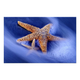 Impression Photo États-Unis, Caroline du Sud, Hilton Head Island.D