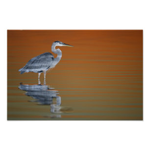 Impression Photo États-Unis, Floride, Saint-Pétersbourg, Fort De So