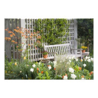 États-Unis, Géorgie, Pine Mountain. Chaise dans