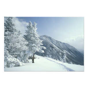 Impression Photo États-Unis, NH, arbres couverts de neige Trails Sn