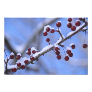 Impression Photo États-Unis, Nouvelle-Angleterre, Massachusetts, Re