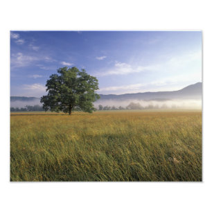 Impression Photo États-Unis, Tennessee. Grandes montagnes fumées 3