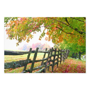 Impression Photo États-Unis, Vermont. Clôture sous le feuillage d'a