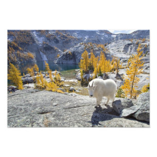 Impression Photo États-Unis, WA, Alpine Lakes WIlderness Enchantmen