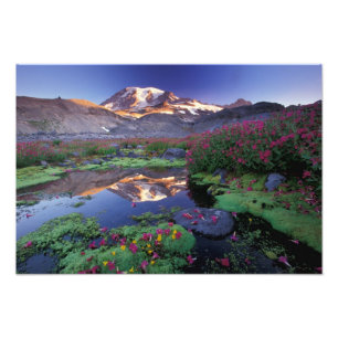Impression Photo États-Unis, Washington, Mt. Rainier NP, lever du s