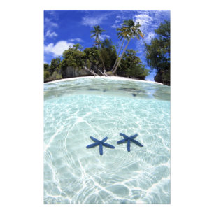 Impression Photo Étoiles de mer, îles Rocheuses, Palaos 2