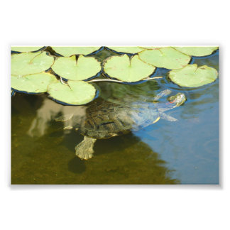 Impression Photo Exercice sous-marin