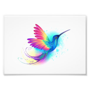 Impression Photo Exotic Rainbow Hummingbird