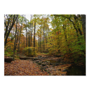 Impression Photo Fall Creek à Laurel Hill State Park Pennsylvania