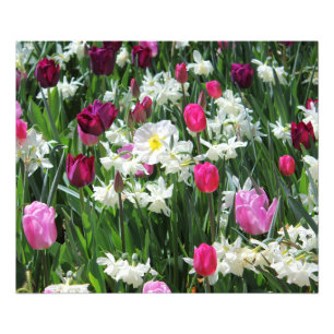 Impression Photo Falln Romantique Printemps matin