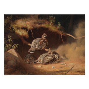 Impression Photo Ferdinand von Wright - Déchets de bruyère
