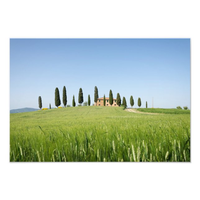 Impression Photo Ferme en Toscane avec imprimé cyprès (Devant)