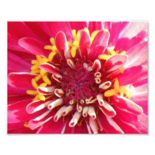 Impression Photo Fermeture du centre de fleurs