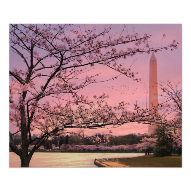 Impression Photo Festival Cherry Blossom du Monument de Washington (Devant)