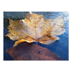 Impression Photo Feuille d'érable jaune congelée Automne Nature
