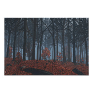 Impression photo Feuille d'hiver