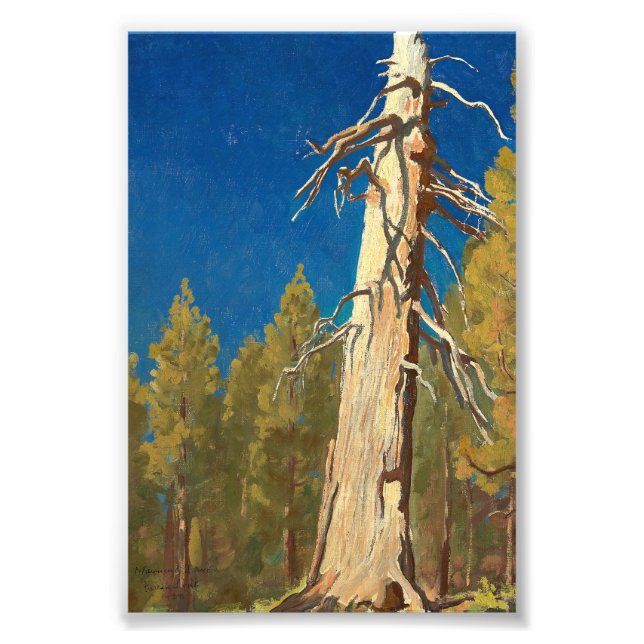 Impression Photo Feuille tombée par Maynard Dixon (Devant)