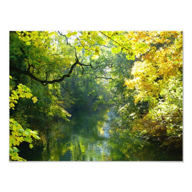Impression Photo Feuilles d'automne au-dessus d'un ruisseau (Devant)