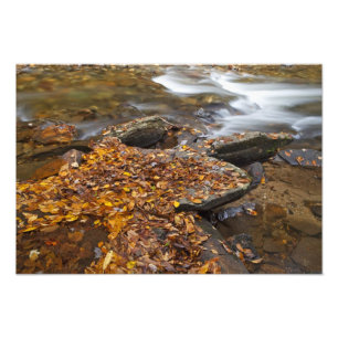 Impression Photo Feuilles d'automne le long de Looking Glass Creek